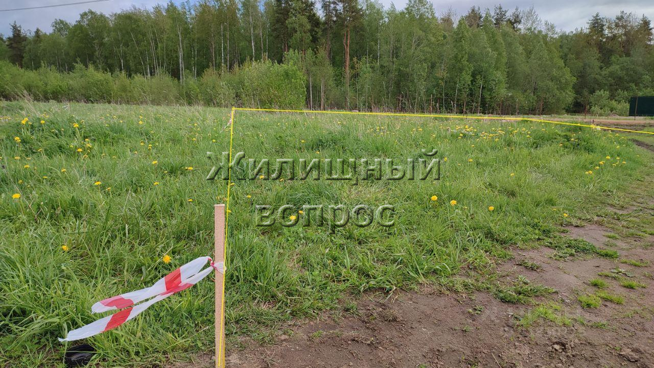 Коваши Ломоносовский Район Купить Участок