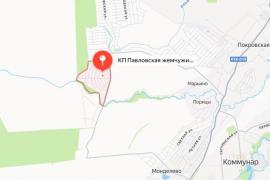 8 сот ИЖС Павловская жемчужина