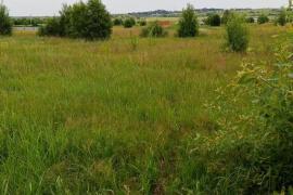 10 сот Аннинские Просторы