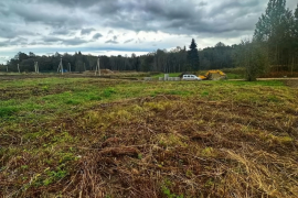 9,4 сот Новое Заостровье