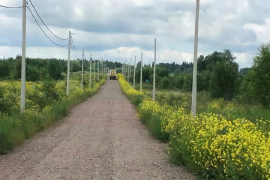 Участок 13 сот. Новое Заостровье