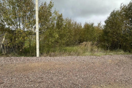 6 сот Новое Заостровье