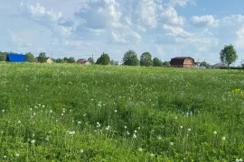 Участок 12 сот Усадьба Волковицы