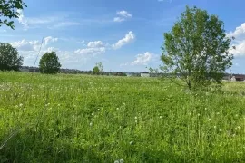 Участок 6 сот Усадьба Волковицы