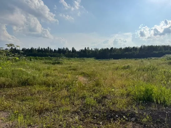 Участок 4 га Волосово