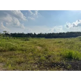 Участок 4 га Волосово