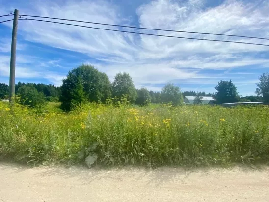 19,2 сот ИЖС д. Липовая Гора