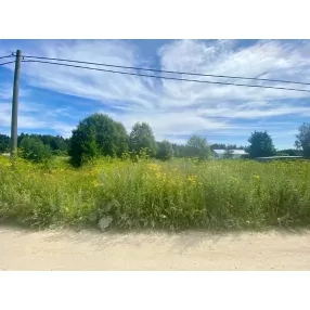 19,2 сот ИЖС д. Липовая Гора