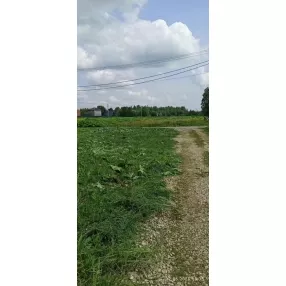 9 сот Цветочное