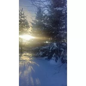 10 сот Орбита