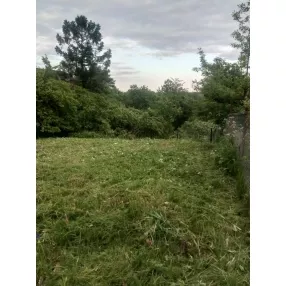 7 сот ИЖС Красное Село Дружба