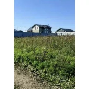 10 сот Тайцы