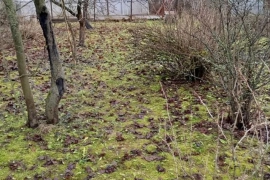 8 сот ИЖС 650 т р Глобицы
